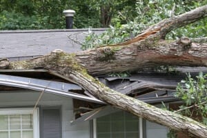 Commercial Restoration - Tree destroys house due to wind damage.