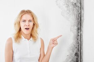 Essential Tips to Help With Household Mold Growth