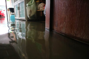 What are the Ill Effects of a Flood in Your Home?